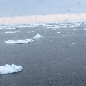 Meet your Posher, Terri